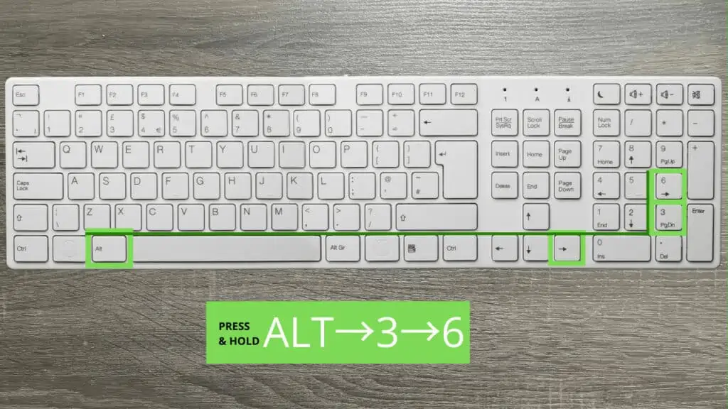 Press and hold ALT and press 3 and 6 on your Numpad