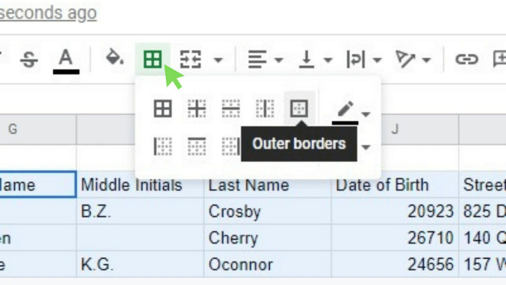 The Outer borders option of the Border tools
