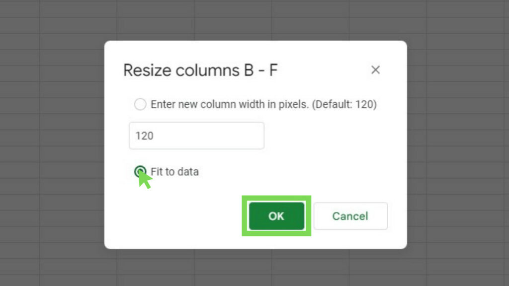 The Resize columns window for columns B to F